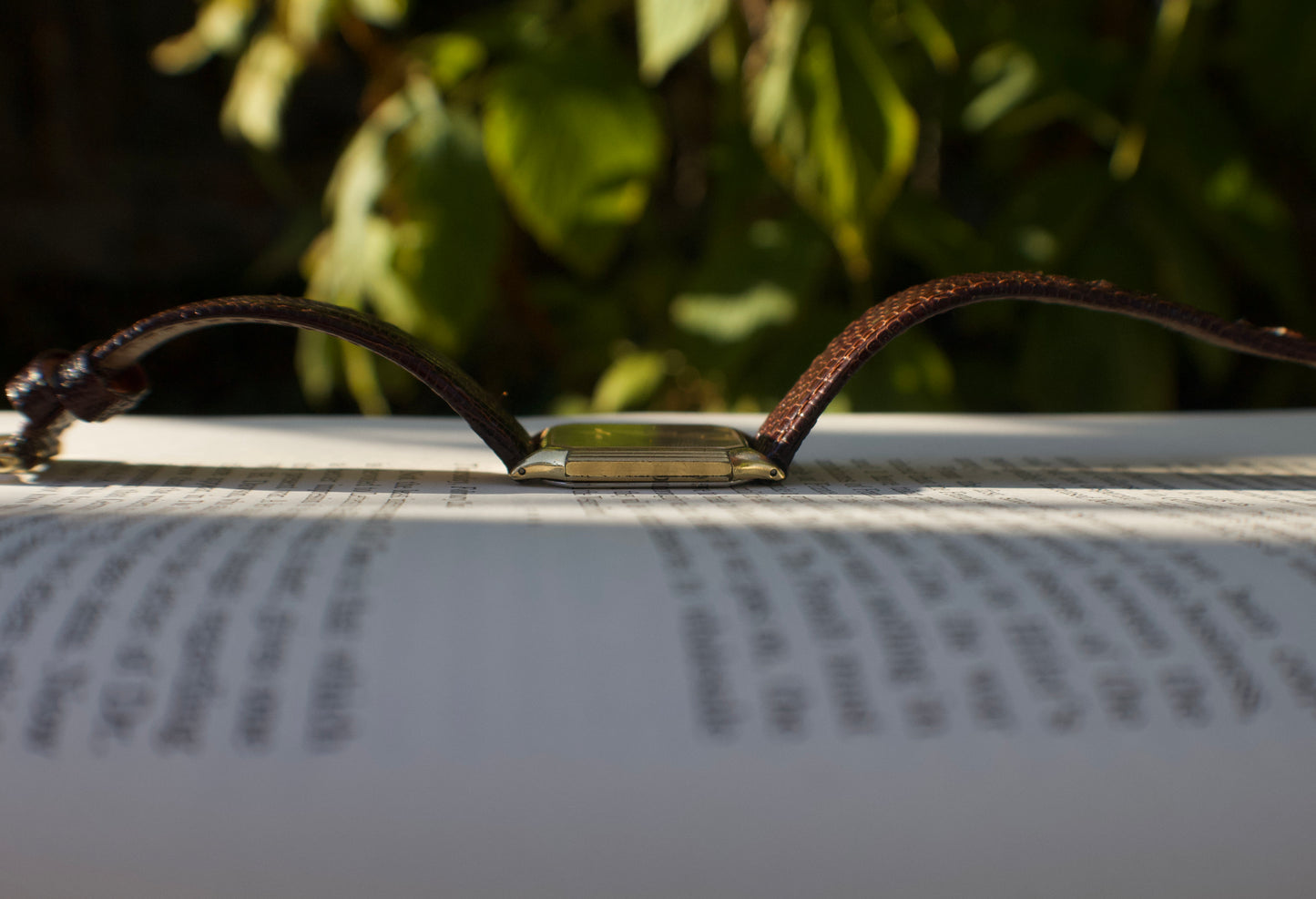 8 Jewel Vintage Quartz Seiko Lassale Men's Wristwatch