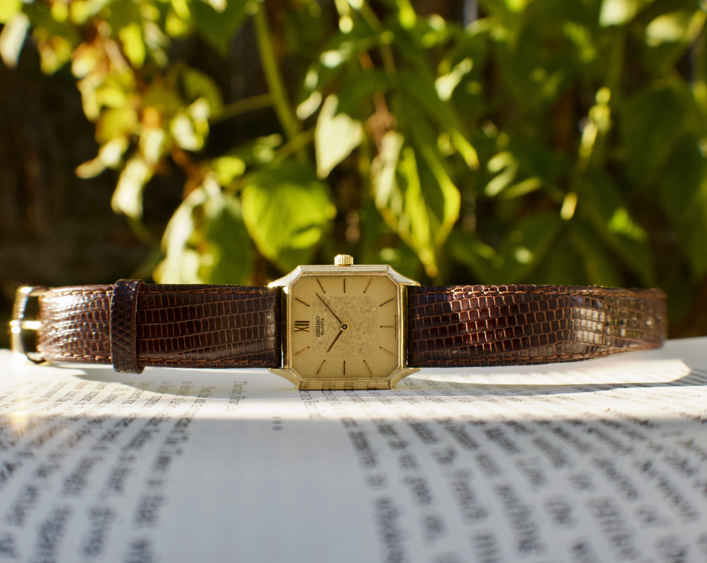 8 Jewel Vintage Quartz Seiko Lassale Men's Wristwatch