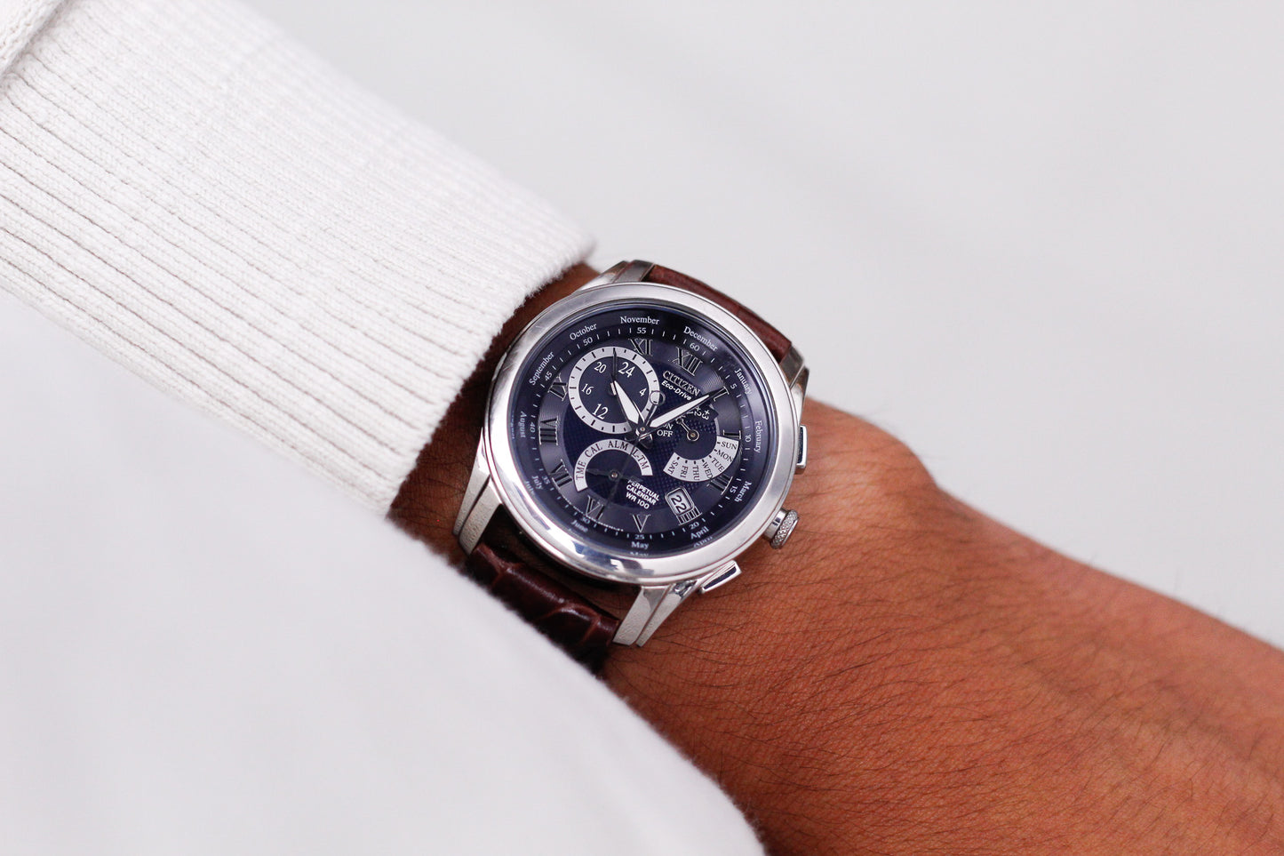 2005 Citizen Eco-Drive Perpetual Calendar Metallic Purple Dial Men's Wrist-Watch