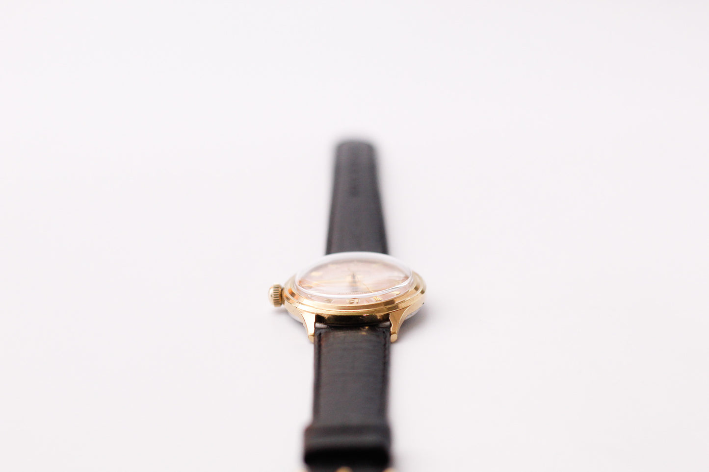 [Serviced] 1960s Caravelle Mechanical Tropical Dial Men's Wrist-Watch